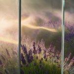 sensory stimulation through media